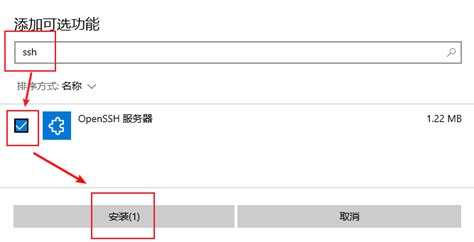 OpenSSH SFTP 的图像结果
