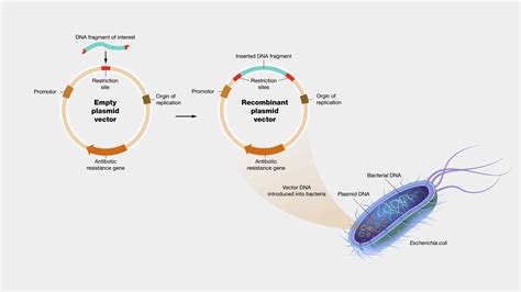 Image result for Vector Method Math