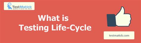 Testing Life Cycle 的图像结果