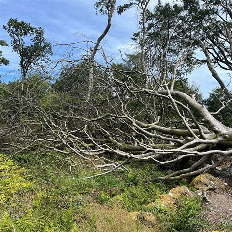 SLIEVE GULLION FOREST PARK - All You Need to Know BEFORE You Go 2026 ...
