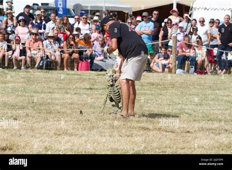 Coffin Exploding 的图像结果