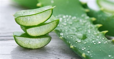manfaat aloe vera untuk ketiak