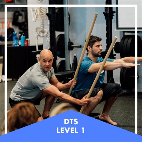 DTS Training Course 的图像结果