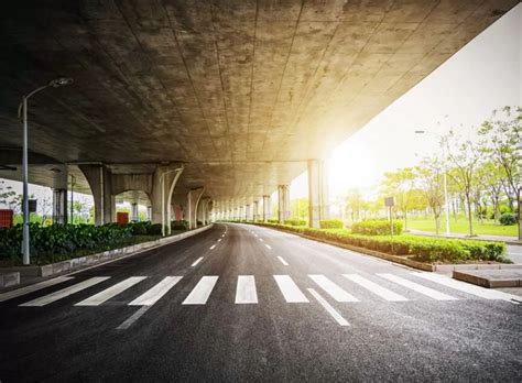 Bihar Road Dept Starts DPR Process for Buxar-Bhagalpur Expressway