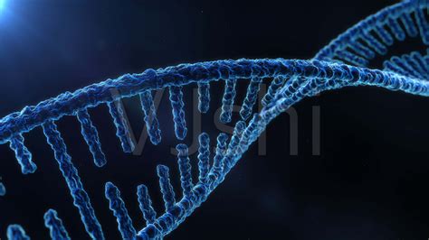 DNA分子结构4K视频_3840X2160_高清视频素材下载(编号:2888020)_影视包装_VJ师网 www.vjshi.com