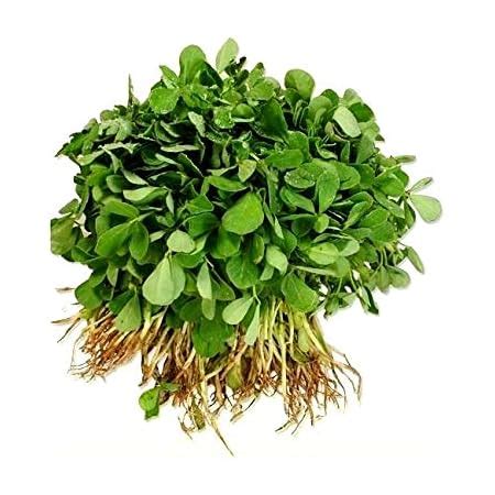 Creative Farmer Vegetable Seeds Mente Seeds - Methi Fenu Greek Seeds ...