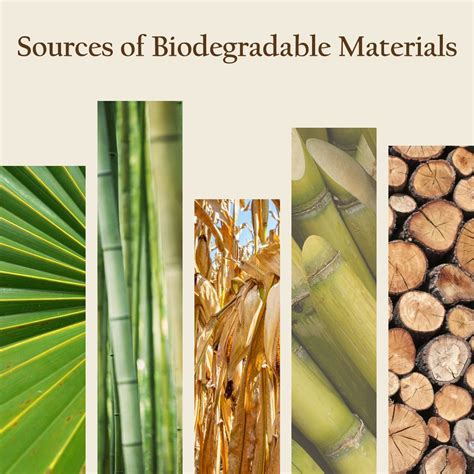Biodegradable 的图像结果