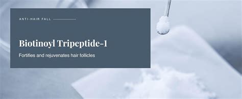 Bare Anatomy Anti Hair Fall Shampoo|5x Hair Fall Control & Growth ...