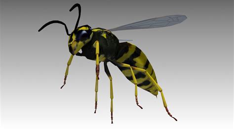 Image result for Wasp 3D Tutorial