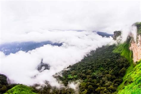 Wildview Estate Stay Chikmagalur - Resorts Chikmagalur