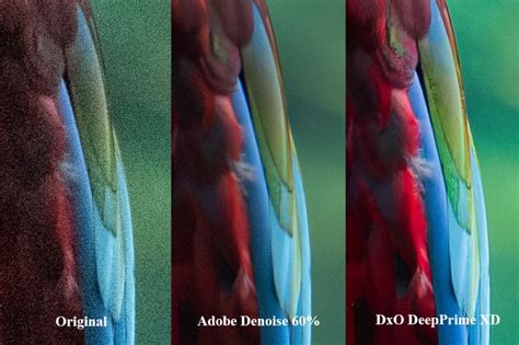 Image result for Do Photo Lab Elite Tutorials