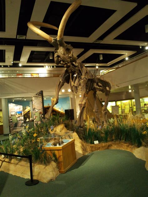 UTAH STATE UNIVERSITY EASTERN PREHISTORIC MUSEUM (2026) All You Need to ...