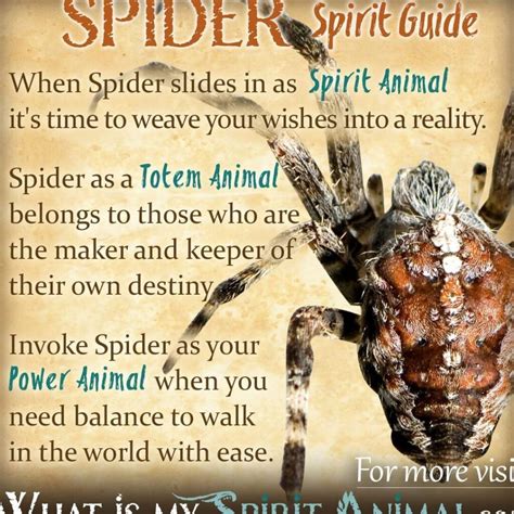 White Spider Spiritual Meaning