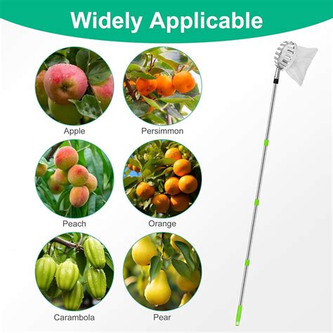 Fruit Picker Tool with 13 feet Long Telescopic Pole, Harvesting Basket ...