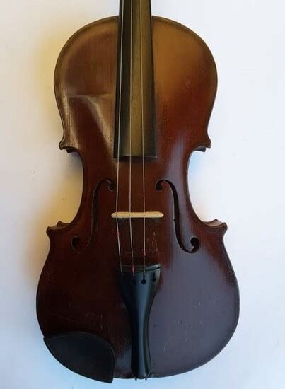 Image result for Italian String Instruments