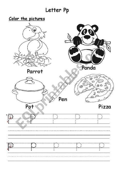 Pp Worksheet 的图像结果