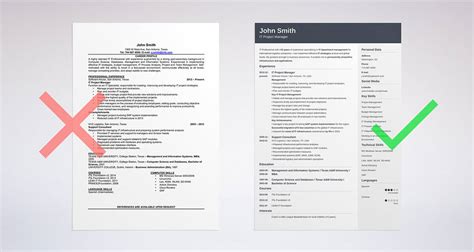 Image result for Job CV Examples