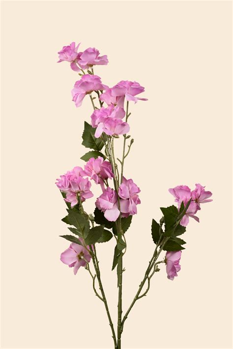 Buy Faux Lathyrus Sweet Pea Flower Stem - Pink online only on Huguh Home