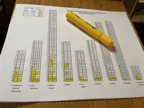 How to use the ABLLS-R - The Autism Helper