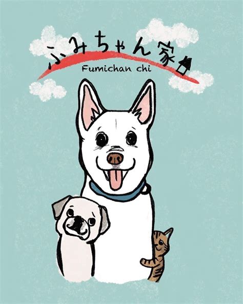 老犬が喜ぶこと:愛犬との新たな絆を深めよう | コラム | 千葉の老犬ホームならDog care house ふみちゃん家