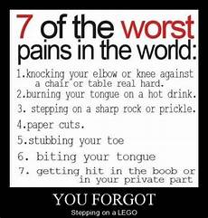 The Best Jokes In The World