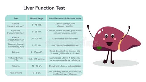 Image result for Synthetic Liver Function