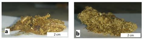 Influence of Biomass Absorptivity on the Process of Sinter Charge ...