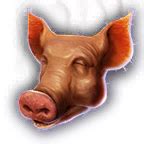 Pig's Head - bg3.wiki