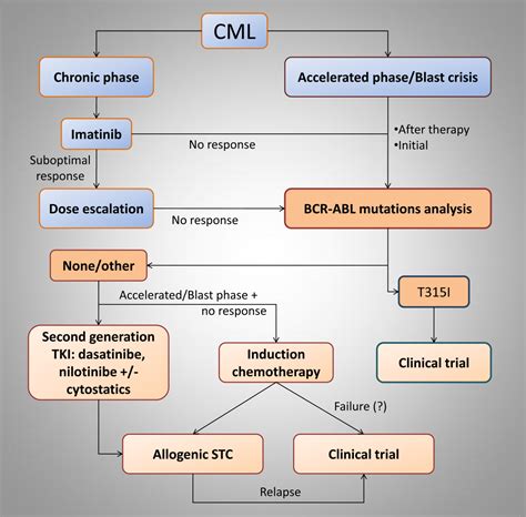 Modern Therapy of Chronic Myeloid Leukemia | IntechOpen