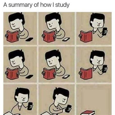 Final Week Algorithm Meme 的图像结果