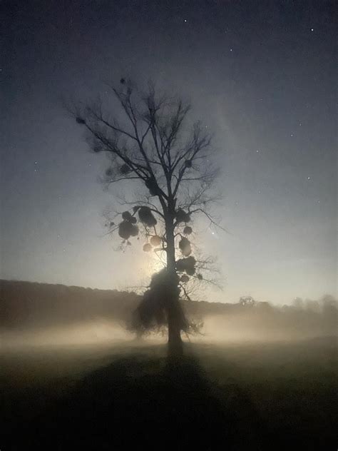 A Winter Solstice Celebration, Hardwick Estate, Reading, 20 December ...
