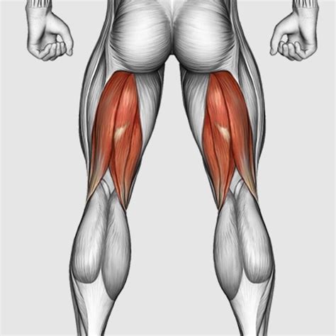 Image result for Cable Machine Hamstring Exercises