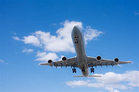 Airplane Simulator Roblox 的图像结果