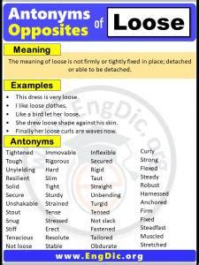 Opposite of pro, Antonyms of pro (Example Sentences) - EngDic