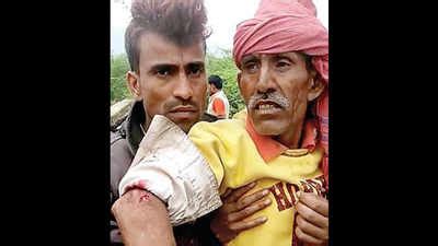 Villagers fake tiger attacks for cash in Ranthambore | Jaipur News ...