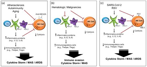 Natural Killer Cell Dysfunction and Its Role in COVID-19