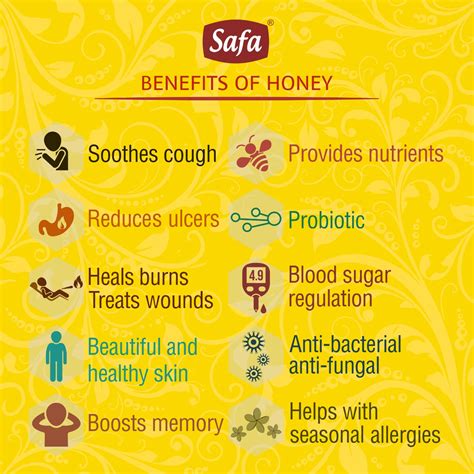 Safa Premium Raw Sidr Honey | 350g | Safa Honey | Jujube Honey