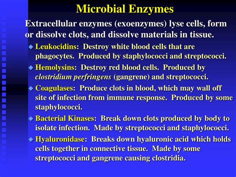 Image result for Mechanism of Microbial Pathogenicity