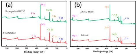 Selective Flotation Behavior of Dolomite from Fluorapatite Using ...