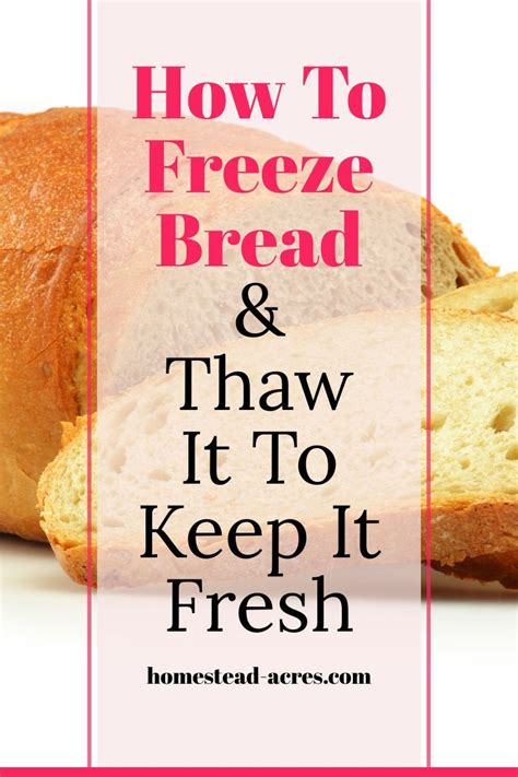 Tips for Freezing Bread 的图像结果