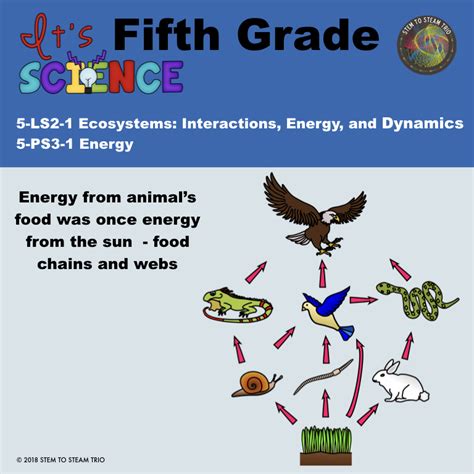 Image result for Fifth Lesson Science