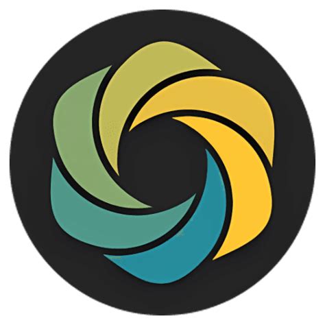 Ashampoo Colorizer 的图像结果