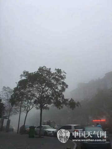大雾来袭 杭州萧山国际机场部分航班受影响_新浪天气预报