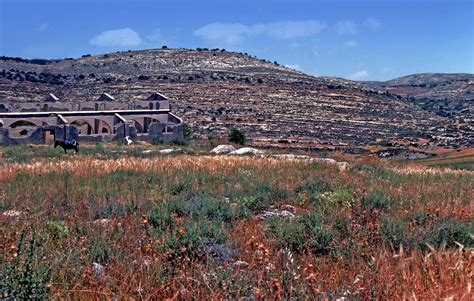 Shiloh was a city in the tribe of Ephraim