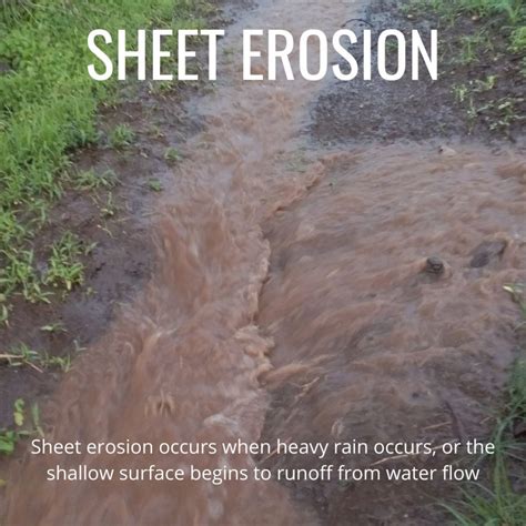 What Are The 4 Different Types Of Erosion at Stephen Bette blog