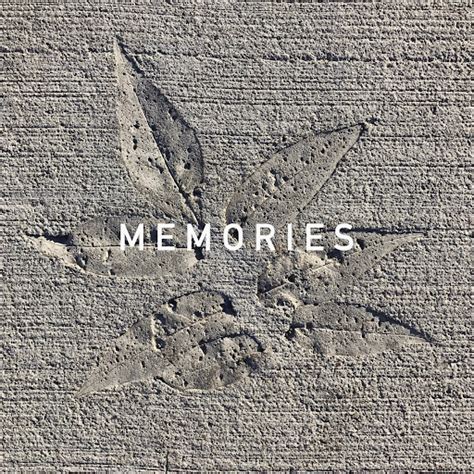 Digging Music 的图像结果