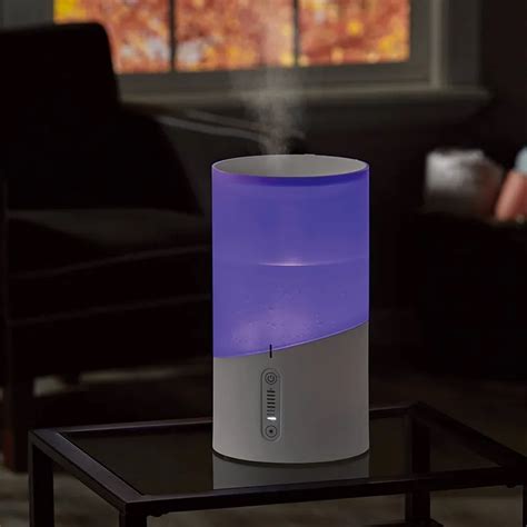 Image result for Humidifier at Home