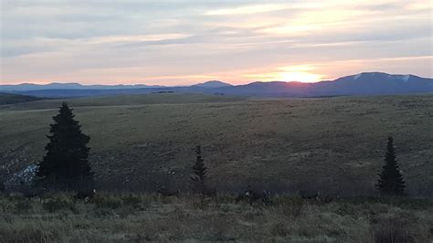 Ruby Mountains Camping - Just outside of Elko, NV : camping