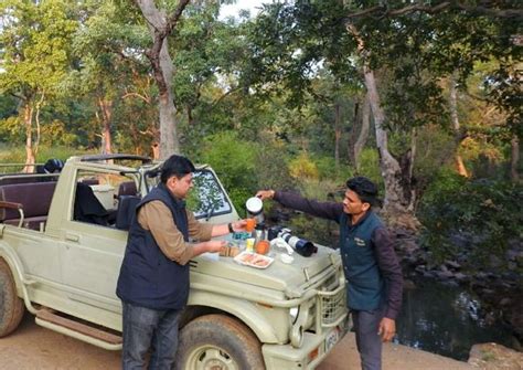 Ratapani Jungle Lodge - Resort, Booking, Resort, Hotel