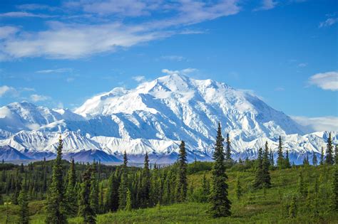 アラスカ 州 シャチ に対する画像結果